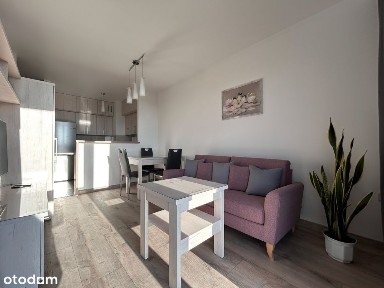 ul. Zagłoby, Glinice, Radom, mazowieckie