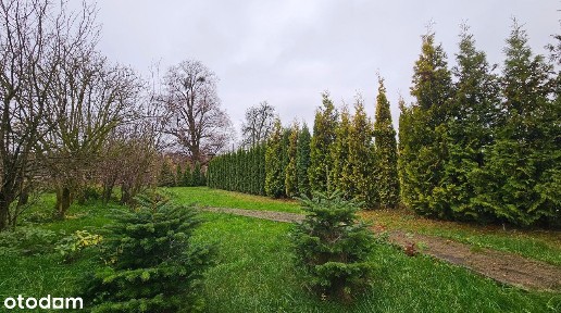 Na sprzedaż dom w Radzieszynie + działka ponad 24 ar. Cicha okolica.