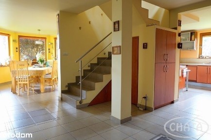 ul. Zielna, Pasikurowice, Długołęka, wrocławski, dolnośląskie