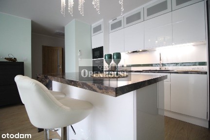 Do wynajęcia w pełni wyposażone mieszkanie z garaż