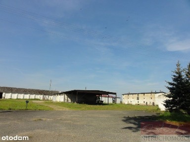 Urbanie, Oborniki, obornicki, wielkopolskie