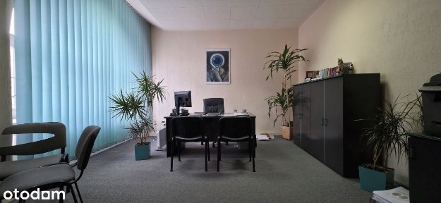 Lokal użytkowy, 85 m², Kutno