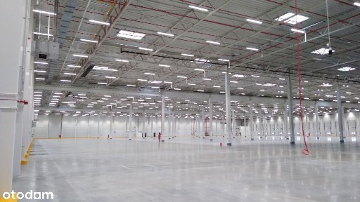 Nowoczesny magazyn Dąbrówka 5000 m2 przy S11!
