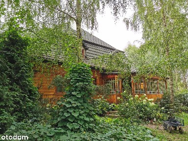 Replika Barokowego dworu