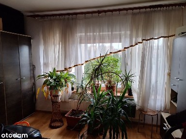 Dom w zabudowie bliźniaczej w pobliżu Pogorii III