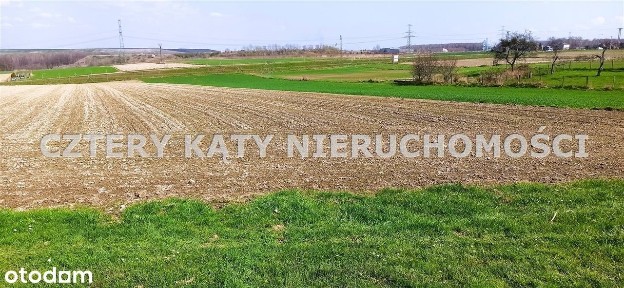 Dom z garażem na Zofiówce