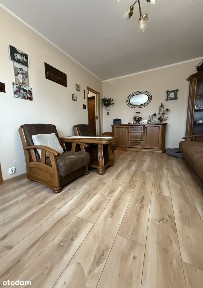 Przytulne, słoneczne 2-pokojowe mieszkanie - idealne na start!