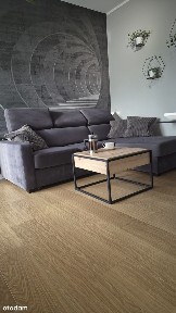 Koninko, Kórnik, poznański, wielkopolskie