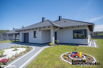 Domy z linia lasu, nowy projekt Agat, Złote