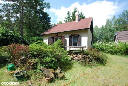 Urokliwy domek w środku lasu - Moczydło