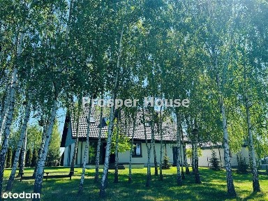 Nowy dom nad rzeką, we wsi Cieksyn