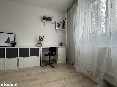 Świeżo po remoncie 2-pokojowe mieszkanie w zielonej dzielnicy