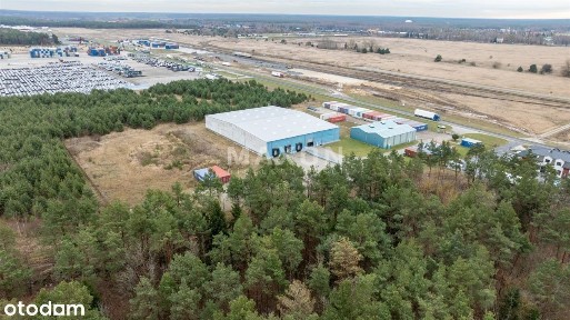 Małaszewicze - Hala Adr > 4000 Mj / mkw.