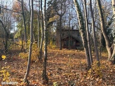 Puszczykowo, poznański, wielkopolskie