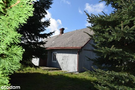 Dom do remontu w Głowience na 38 a działce