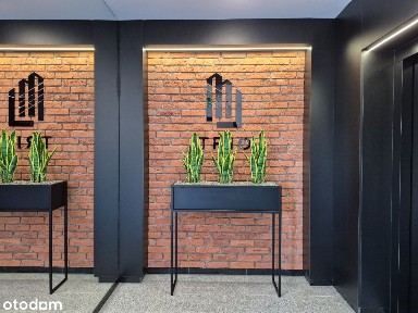 M2 od ręki! TRIO! M4.3