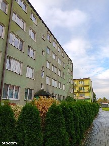 ul. Bolesława Prusa, Tarnów, małopolskie