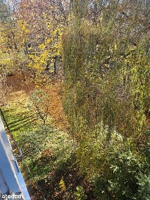 Prądnicka,2pok,idealne po Inwestycję lub by Zamieszkać, 2/4,niegłupie