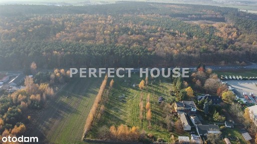 Gospodarstwo pod Stęszewem, 1,1ha, dom 137 mkw