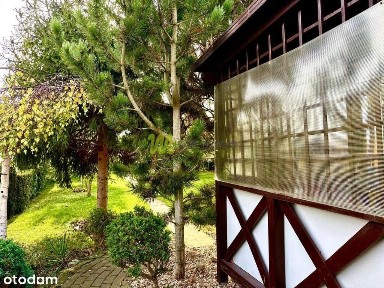 duży taras, zadbany ogród