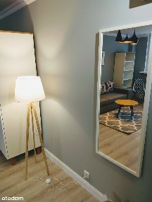 Kawalerka Skandynawska 3