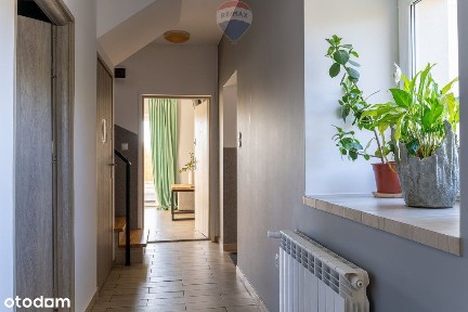 Mieszkanie, 200 m², Olszówka