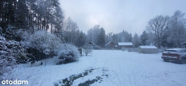Siedlisko:Dom, 2 domki let, garaże, zabudowania i las -działka 1,55 ha