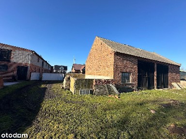 Strzyżew koło Dobrzycy