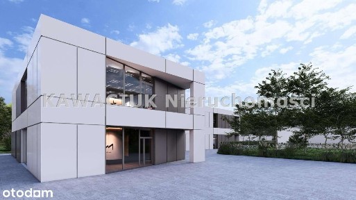 Do wynajęcia | 5 lokali | Centrum dla kobiet