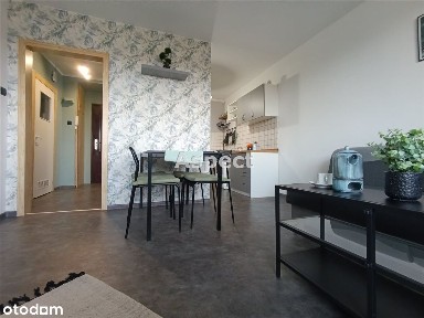 M3 do wynajęci Rybnik