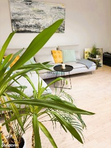 ul. Promień, Biskupin, Śródmieście, Wrocław, dolnośląskie