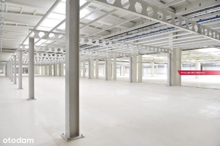 ul. Kasztanowa, Chorzów Batory, Chorzów, śląskie