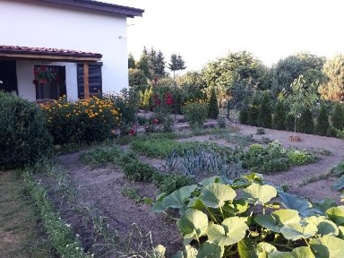 Dom jednorodzinny ROD