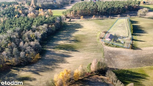 Klimatyczne siedlisko na Kujawach do odświeżenia