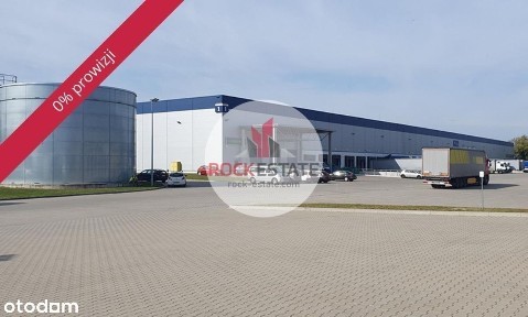 Magazyn 3800m2 z biurem Koninko - 0% prowizji