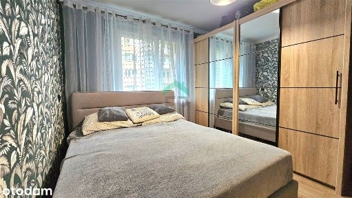 Tysiąclecie, Częstochowa, śląskie