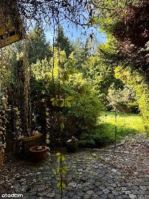 Pszczyna, pszczyński, śląskie