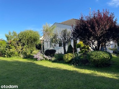 Dom wolnostojący w Skórzewie