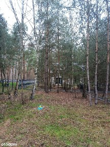 Wyjątkowy segment domu - idealny dla rodziny, wśród jezior i lasów