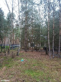 Lgiń, Wschowa, wschowski, lubuskie