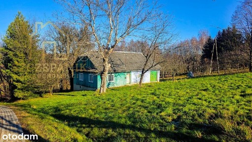 Klimatyczny, drewniany dom wśród drzew