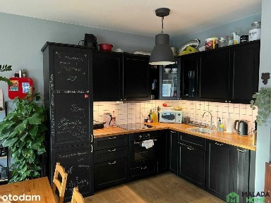 Mieszkanie 2-pokojowe, 50 m2, Nowy Port