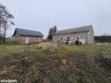 Dobrosołowo, Kazimierz Biskupi, koniński, wielkopolskie