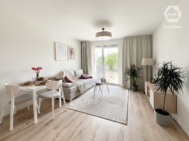 Studio / Bezpośrednio / od zaraz / Pets Friendly