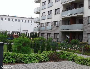 Piaseczno, piaseczyński, mazowieckie