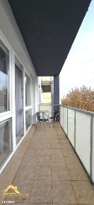 ul. Harcerska, Koniuchy, Toruń, kujawsko-pomorskie