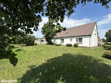 Czeluścin - budynek mieszkalny - 2,5 ha