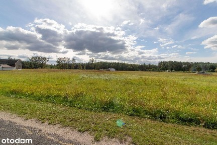 Dom na obrzeżach lasu.