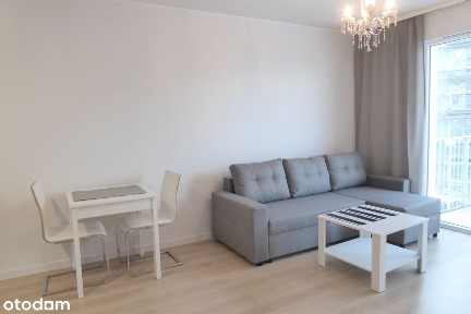 Dwa pokoje z kuchnią osobom pracującym wynajmę.