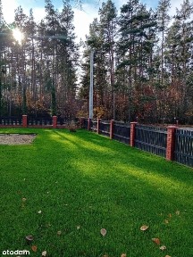 Nieruchomość z potencjałem przy lesie